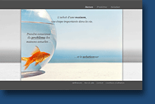 R�alisation sites Pb-Web Concept