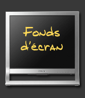 Fonds d'écran - Wallpapers
