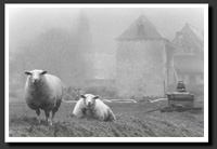 Galerie photos noir et blanc