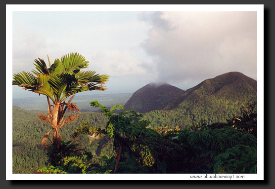 Gauadeloupe - les mamelles